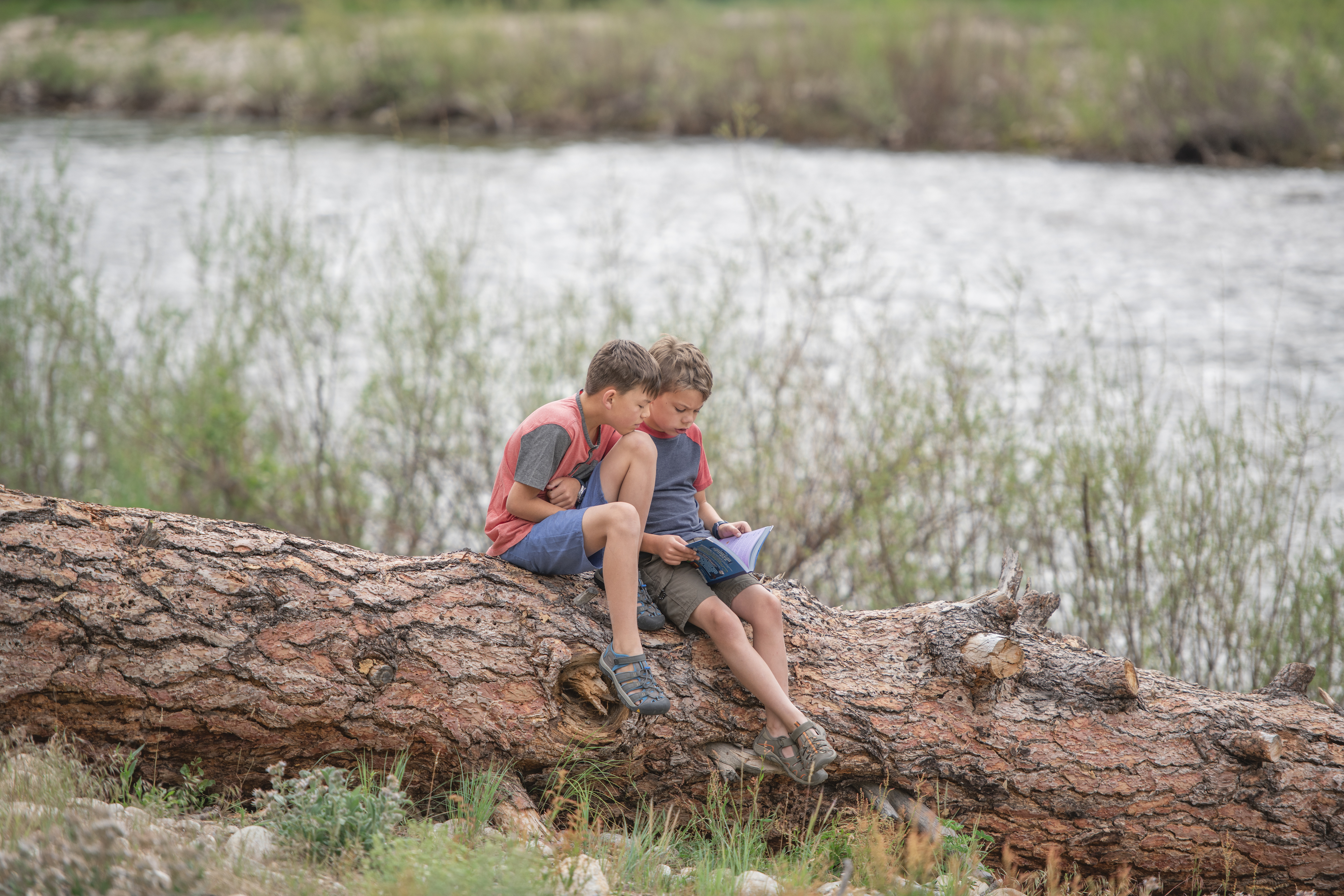 Chelsea Day's kids reading on a fallen tree