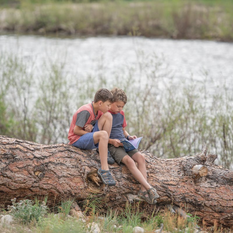 Chelsea Day's kids reading on a fallen tree