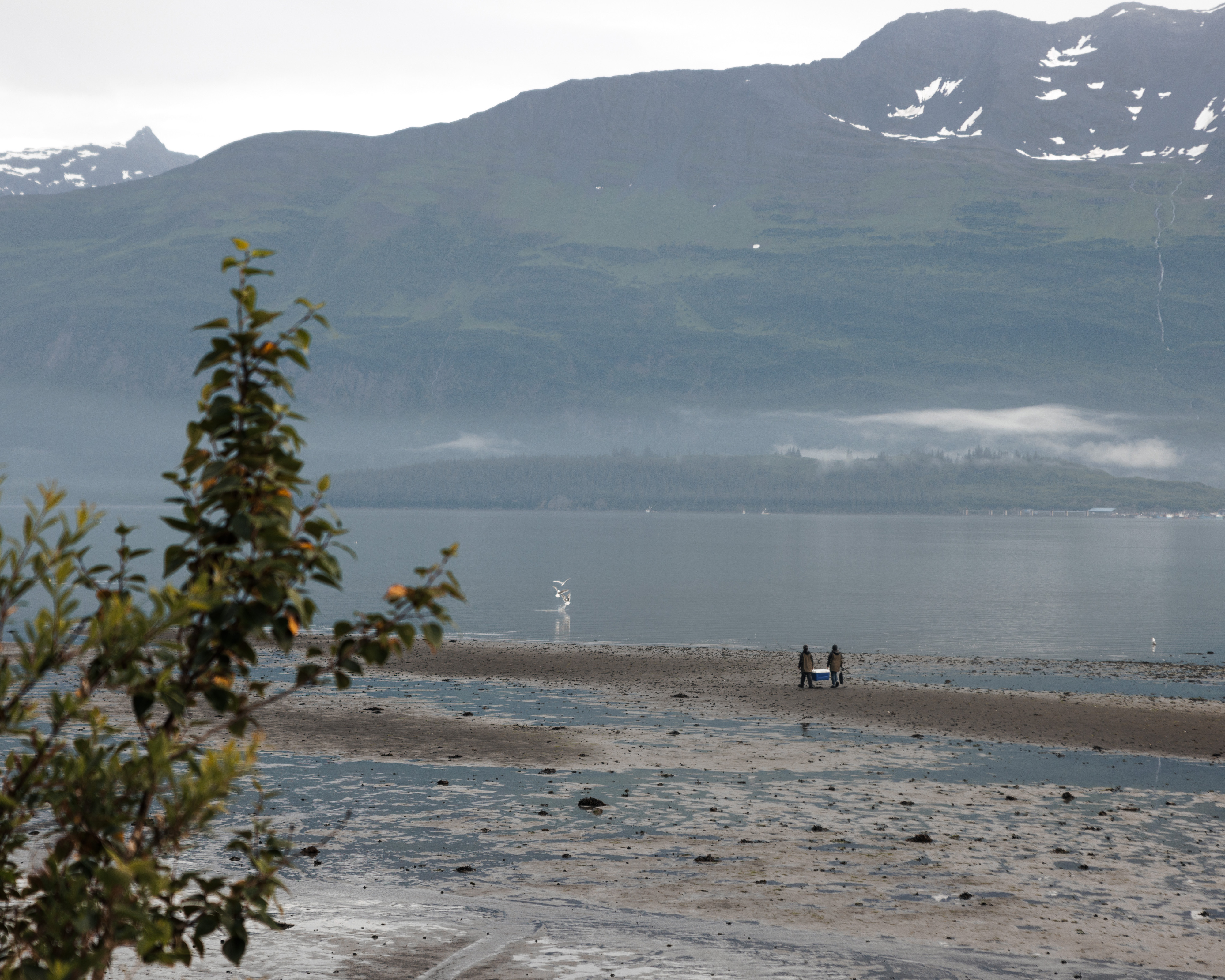 Karen Blue fishing in Alaska 