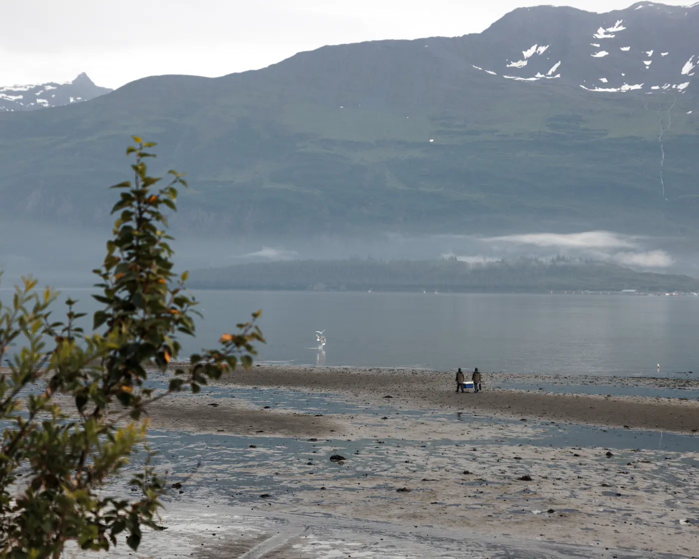 Karen Blue fishing in Alaska 