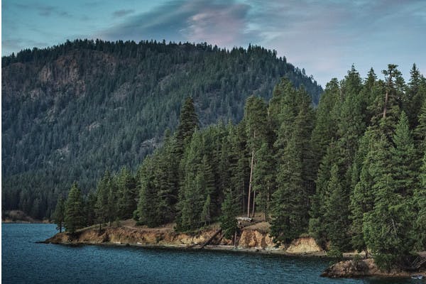 THOR INDUSTRIES ANNOUNCES NATIONAL FOREST FOUNDATION MULTI-YEAR PARTNERSHIP